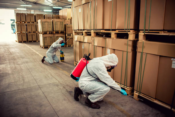 Best Rat Extermination Near Me  in Maryland Heights, MO