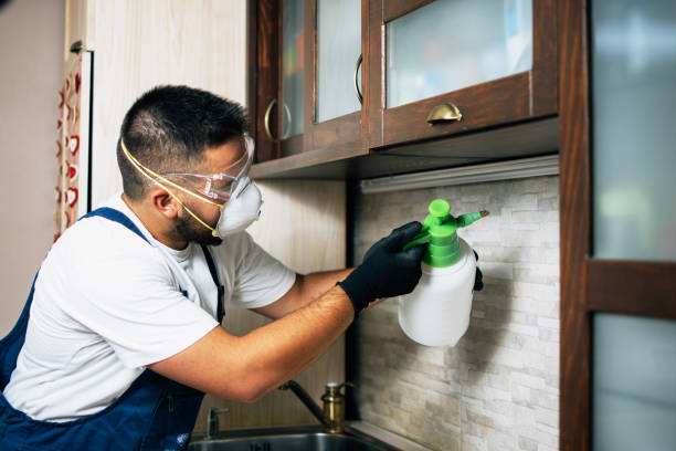 Best Mosquito Control Services  in Maryland Heights, MO