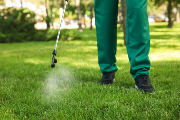 Best Local Pest Control Services  in Maryland Heights, MO