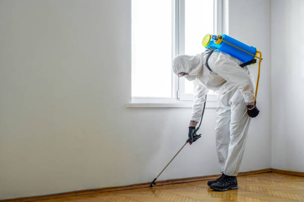 Best Exterminator Services  in Maryland Heights, MO