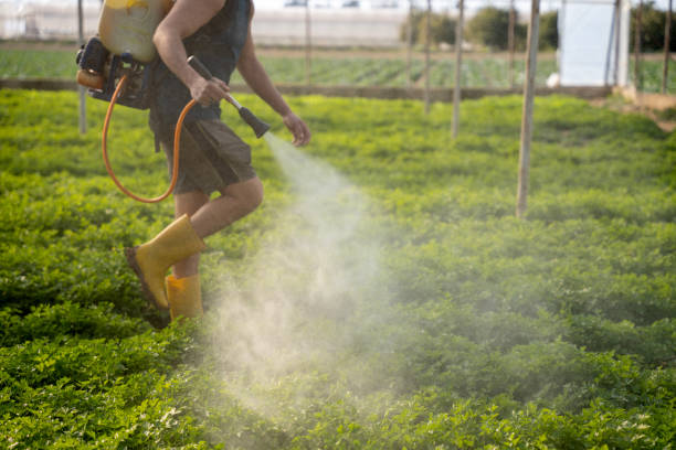 Reliable Maryland Heights, MO Pest Control Solutions