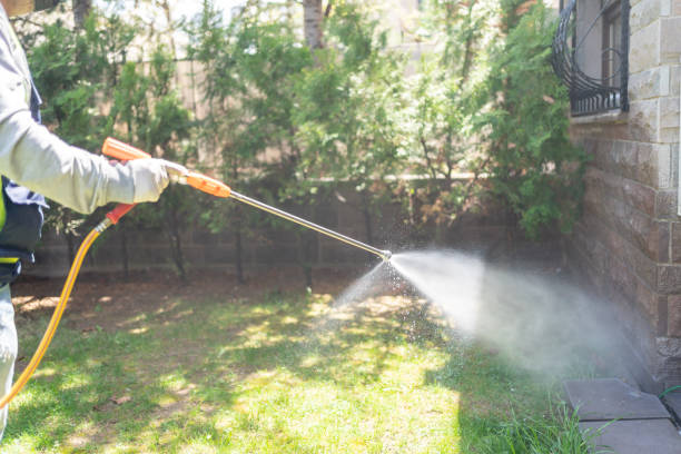 Best Flea Control Services  in Maryland Heights, MO