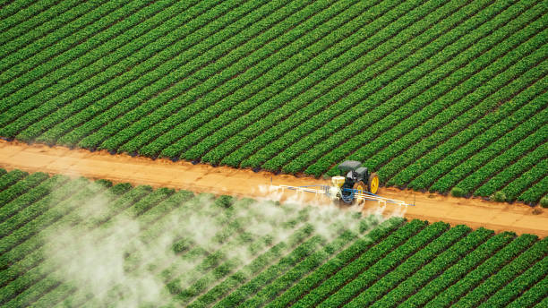 Best Pest Removal Services  in Maryland Heights, MO
