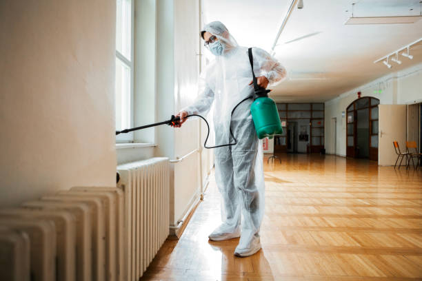 Reliable Maryland Heights, MO Pest Control Solutions